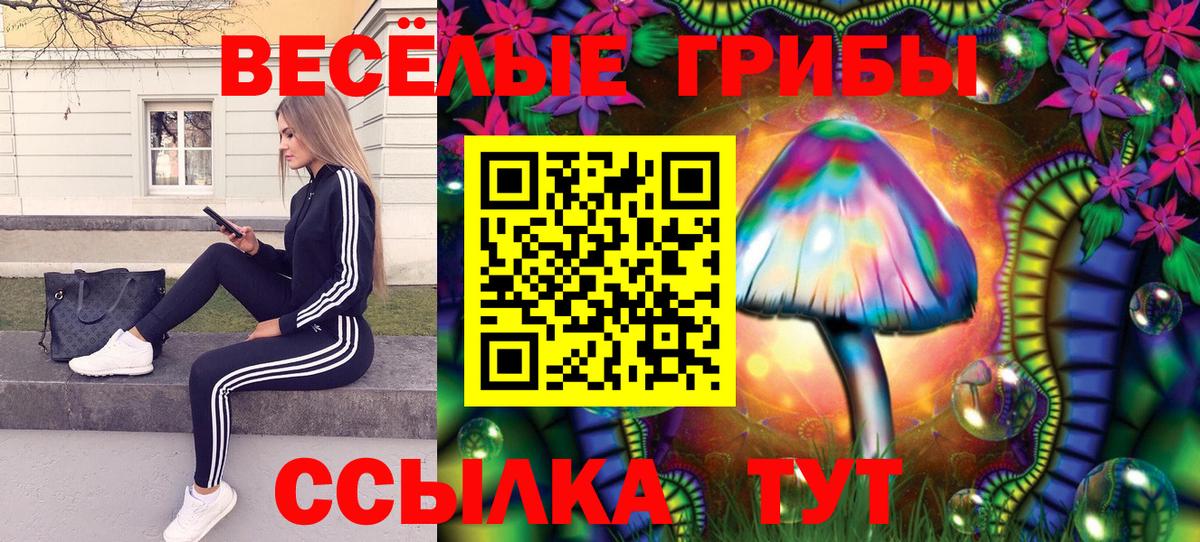 Галлюциногенные грибы Psilocybe Ейск
