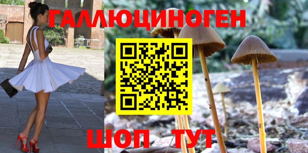 Ейск  цены наркотик  Вход с VPN  Псилоцибиновые грибы Magic Shrooms 